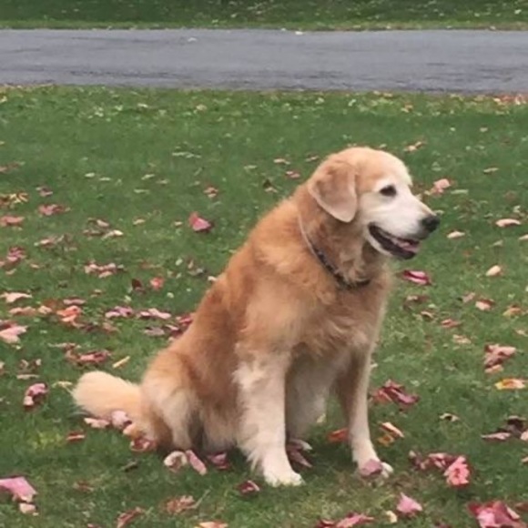 Meet your Posher, Tim - Picture 1 of 1